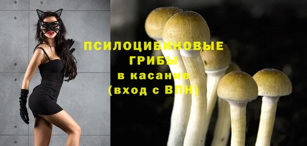 каннабис Верея