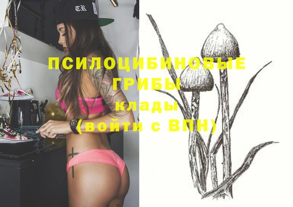каннабис Верея
