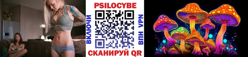Купить где  Верхоянск  Псилоцибиновые грибы MAGIC MUSHROOMS 